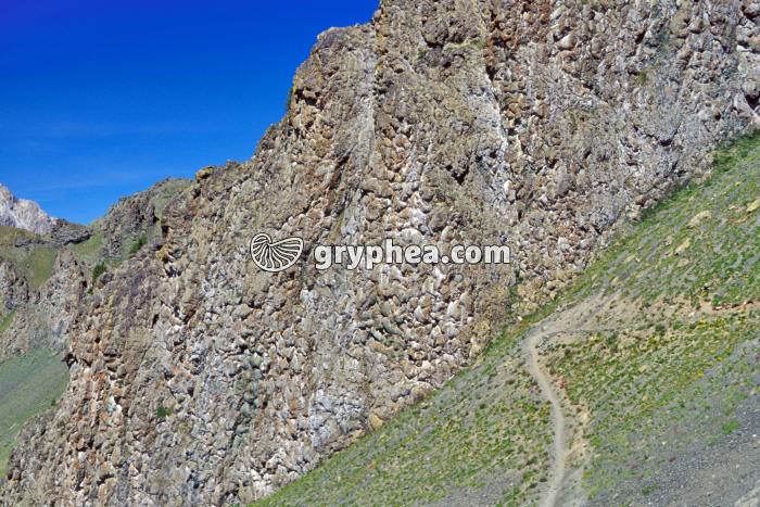 Paroi Collet vert (Chenaillet) - gryphea.com